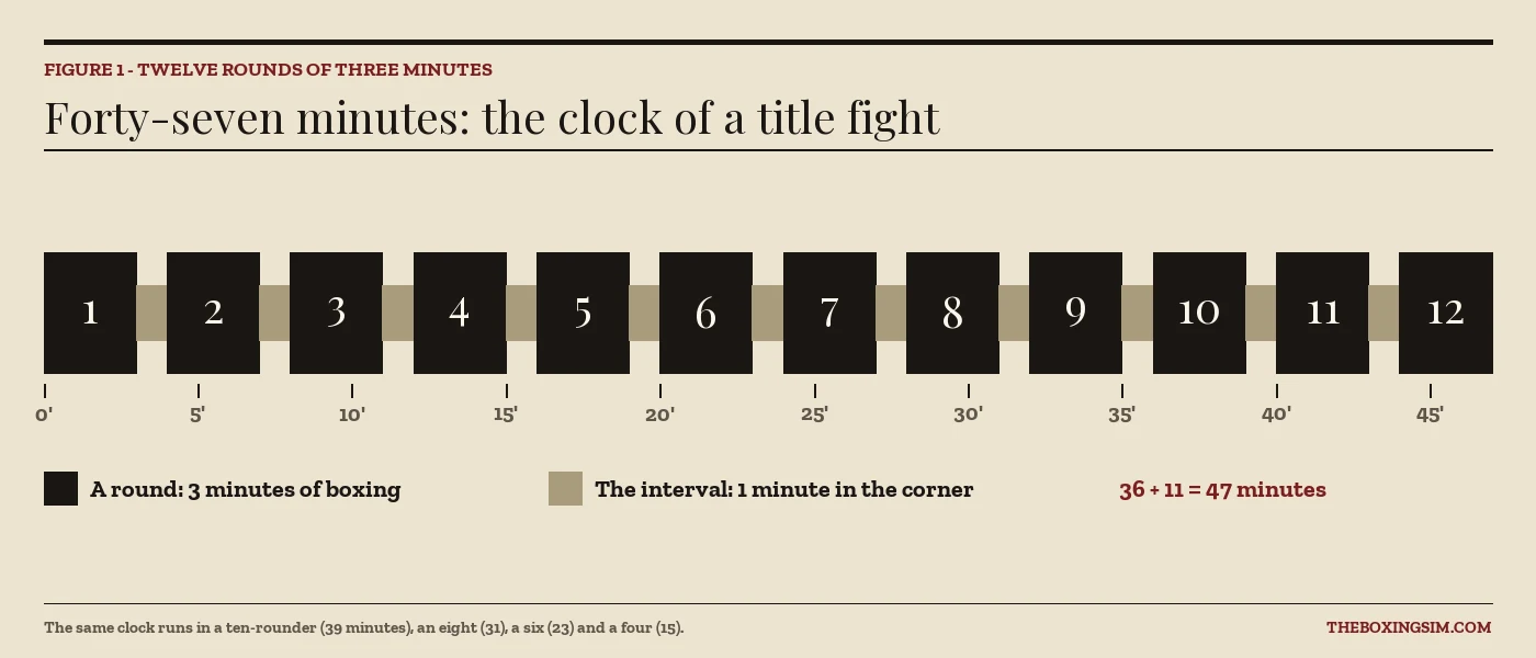 Timeline of a 12-round boxing match: twelve three-minute rounds and eleven one-minute rests, 47 minutes in total